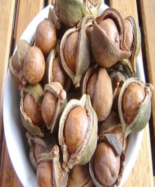 Aceite de macadamia