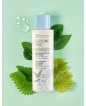 Loción exfoliante con ácido shikímico y succínico + té verte