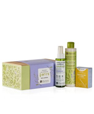 Cofre regalo Lavanda