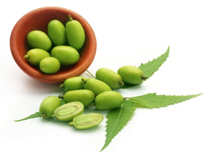 Aceite de Neem