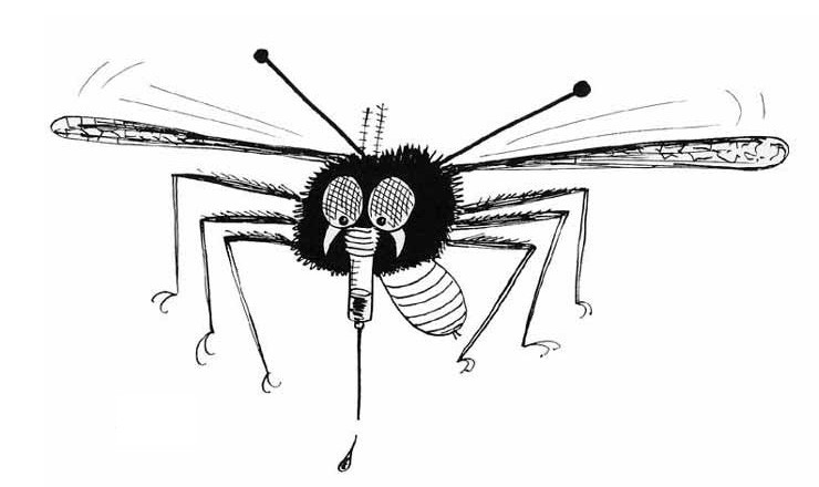 Remedios naturales contra los mosquitos: aceites esenciales